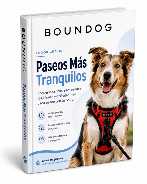BOUNDOG™ Ebook – Paseos Más Tranquilos